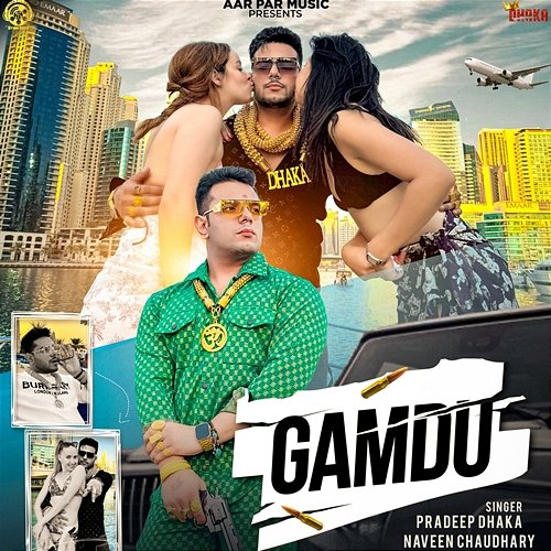 Gamdu Pradeep Dhaka, Naveen Chaudhary