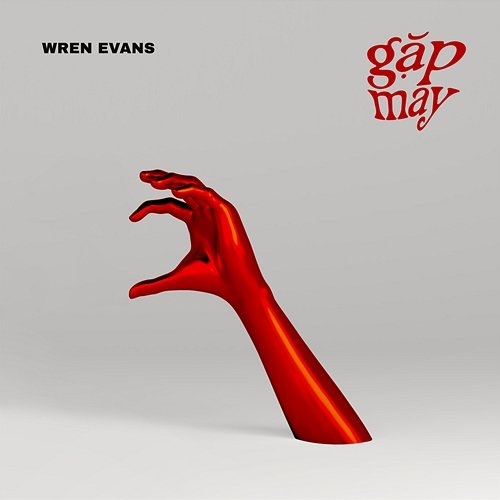 Gặp May Wren Evans