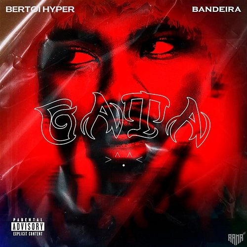 Gata >^.^< Bandeira, Bertoi Hyper