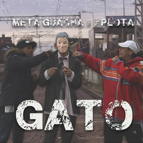 Gato Meta Guacha