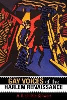 Gay Voices of the Harlem Renaissance Schwarz Christa A. B.