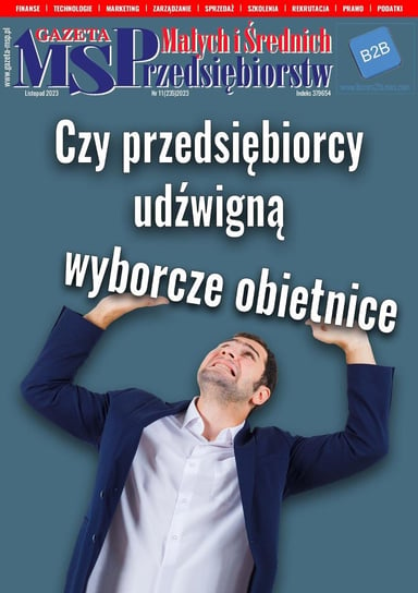 Gazeta Małych i Średnich Przedsiębiorstw 11/2023 - ebook PDF Opracowanie zbiorowe