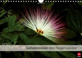 Geheimnisse des Regenwaldes (Wandkalender 2014 DIN A4 quer) Digital-Kv&H Verlag Gmbh Heye