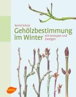 Gehölzbestimmung im Winter Schulz Bernd