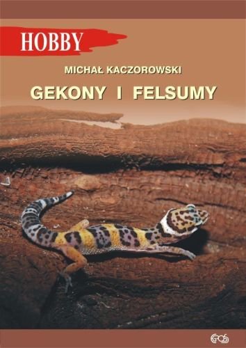 Gekony i felsumy Kaczorowski Michał