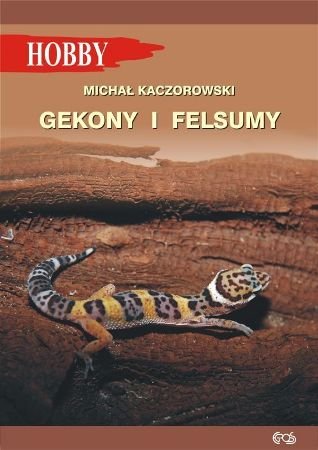 Gekony i felsumy Kaczorowski Michał