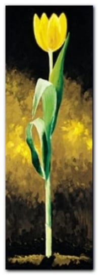 Gelbe Tulpe plakat obraz 25x70cm Wizard+Genius