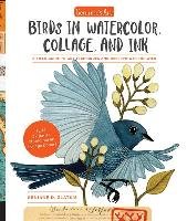 Geninne's Art: Birds in Watercolor, Collage, and Ink: A Field Guide to Art Techniques and Observing in the Wild Zlatkis Geninne D.