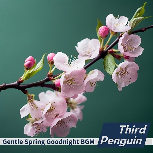 Gentle Spring Goodnight Bgm Third Penguin