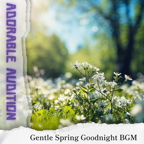 Gentle Spring Goodnight Bgm Adorable Audition