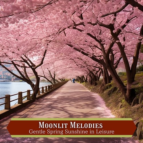 Gentle Spring Sunshine in Leisure Moonlit Melodies