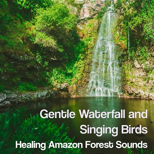 Gentle Waterfall and Singing Birds: Healing Amazon Forest Sounds, Calm Nature, Relaxing Instrumental New Age Music - Zen Moods for the Spa Experience, Yoga & Meditation Music to Relax in Free Time