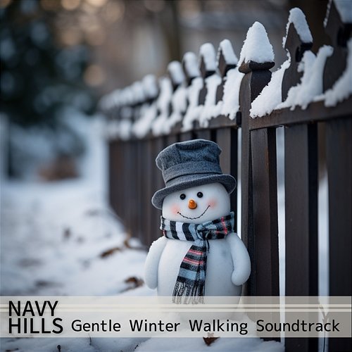 Gentle Winter Walking Soundtrack Navy Hills