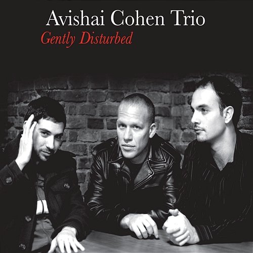 Eleven Wives Avishai Cohen Trio