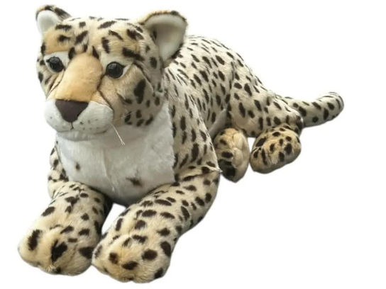 Gepard 70cm - Dubi Inna marka