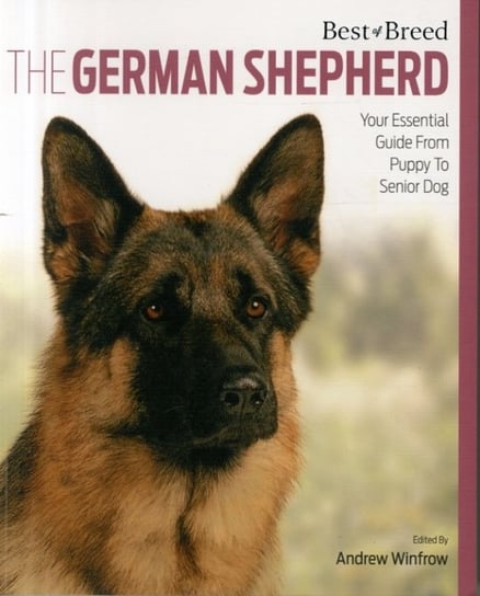 German Shepherd Dog Winfrow Andrew
