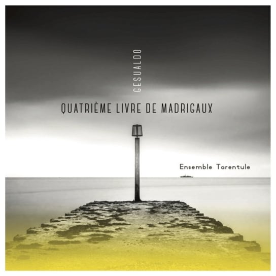 Gesualdo: Quatrieme Livre De Madrigaux Ensemble Tarentule