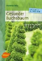 Gesunder Buchsbaum Beltz Heinrich