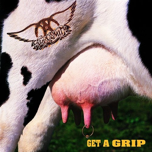 Get A Grip Aerosmith