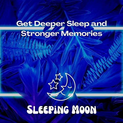 Get Deeper Sleep and Stronger Memories Sleeping Moon, Sleep Sleep Sleep, Sleepy Mood