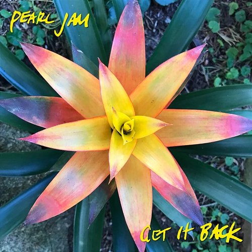 Get It Back Pearl Jam