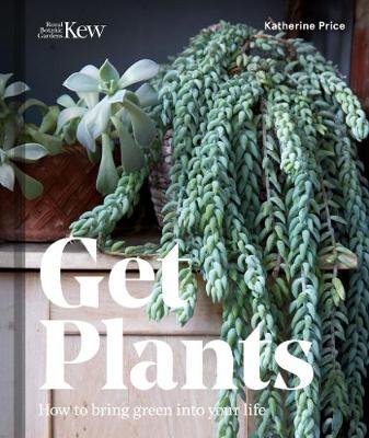 Get Plants Price Katherine
