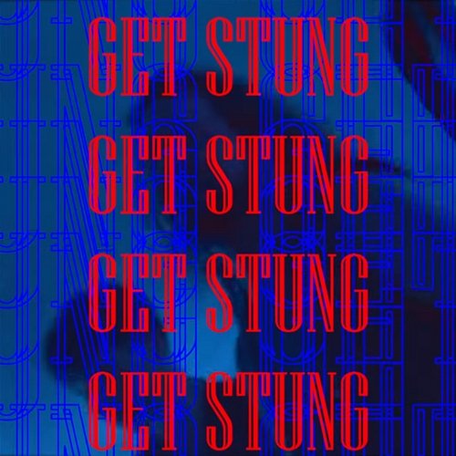 Get Stung Sting Ray