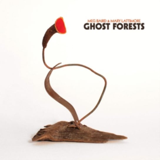 Ghost Forests Meg Baird & Mary Lattimore