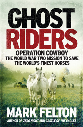 Ghost Riders Icon Books