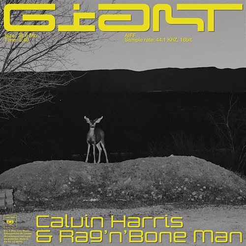 Giant Calvin Harris, Rag'N'Bone Man
