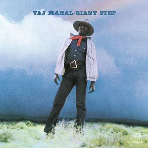 Giant Step Taj Mahal