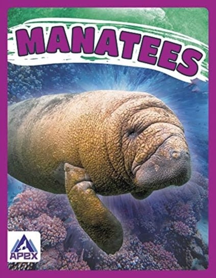 Giants of the Sea: Manatees Katie Chanez