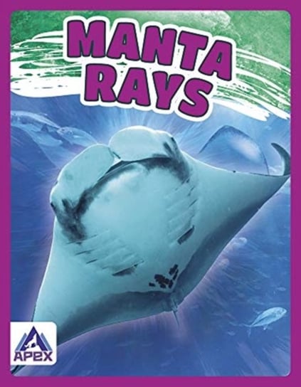 Giants of the Sea Manta Rays Angela Lim