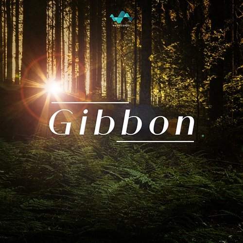Gibbon NS Records