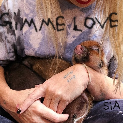 Gimme Love Sia