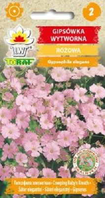 Gipsówka wytworna różowa nasiona 1 g. P.N. TORAF