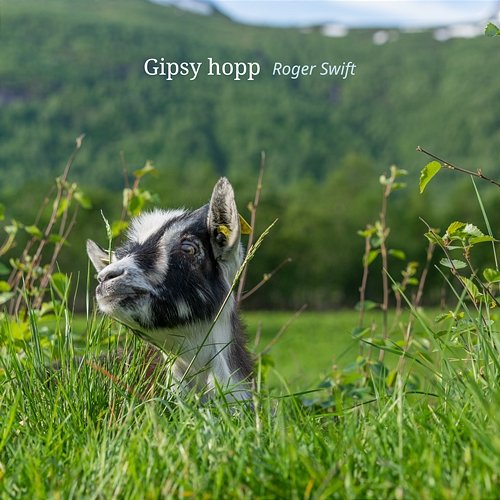 Gipsy hopp Roger Swift
