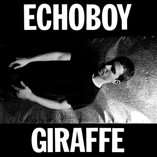 Giraffe Echoboy