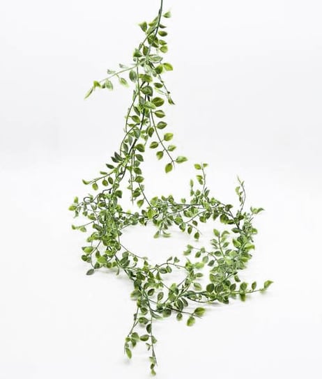 Girlanda ozdobna zielona Eukaliptus wisząca liście Boho pnącze 140cm Inna marka