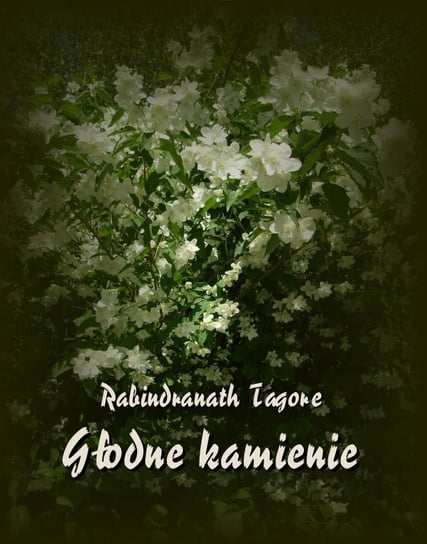 Głodne kamienie Tagore Rabindranath