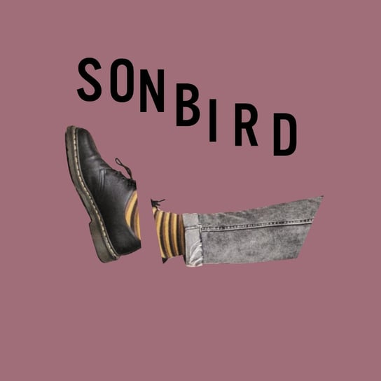 Głodny Sonbird