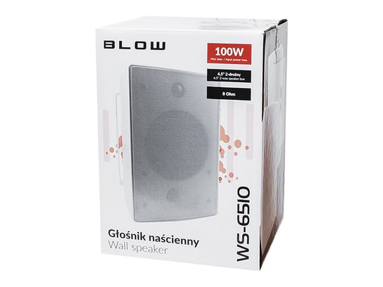 Głośnik naścienny BLOW WS-6510 100W zewnętrzny Blow
