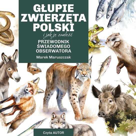 Głupie zwierzęta Polski i jak je znaleźć. Przewodnik świadomego obserwatora - audiobook Maruszczak Marek