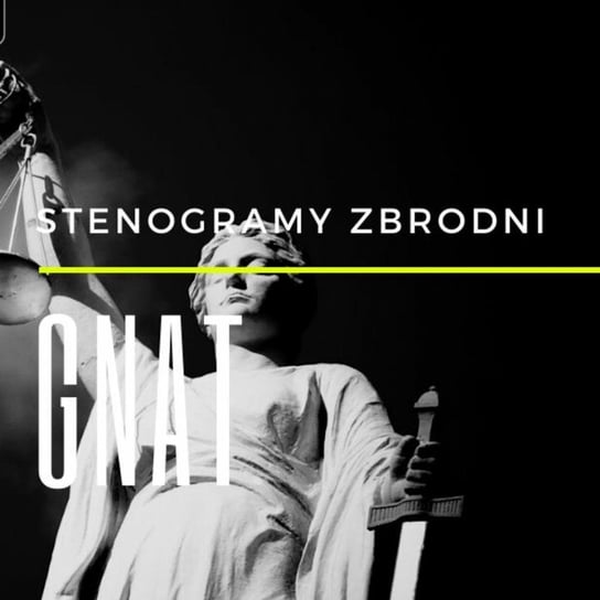 Gnat - Stenogramy zbrodni - podcast Wielg Piotr