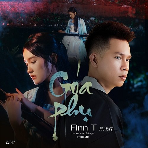 Goá Phụ PN Ent, Finn T