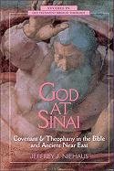 God at Sinai Kaiser Walter C., Niehaus Jeffrey J., Brown Michael L.