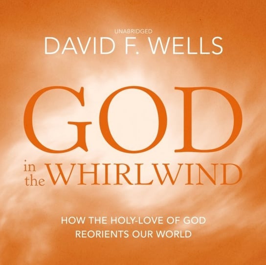 God in the Whirlwind Wells David F.