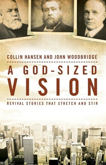 God-Sized Vision Hansen Collin