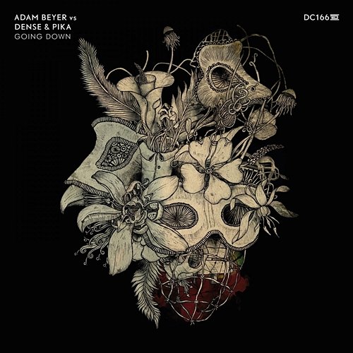 Going Down Adam Beyer, Dense & Pika