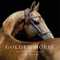 Golden Horse Klimuk Aleksandr